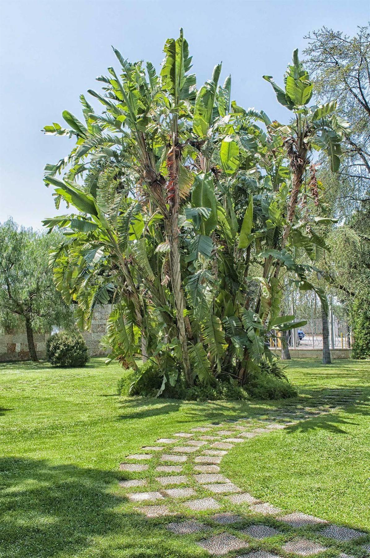 Garden Hotel Molfetta Extérieur photo